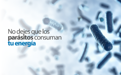 ¿Por qué es importante la desparasitación?