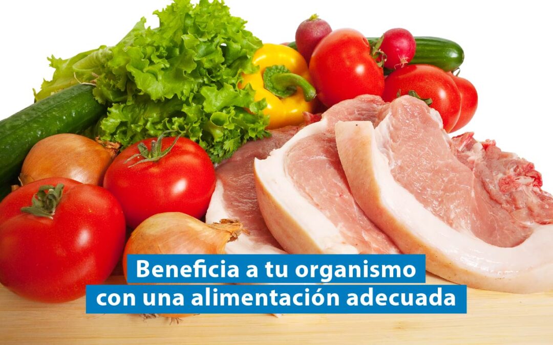 ¿Cuáles son las diferencias entre alimentación paleo y cetogénica? 