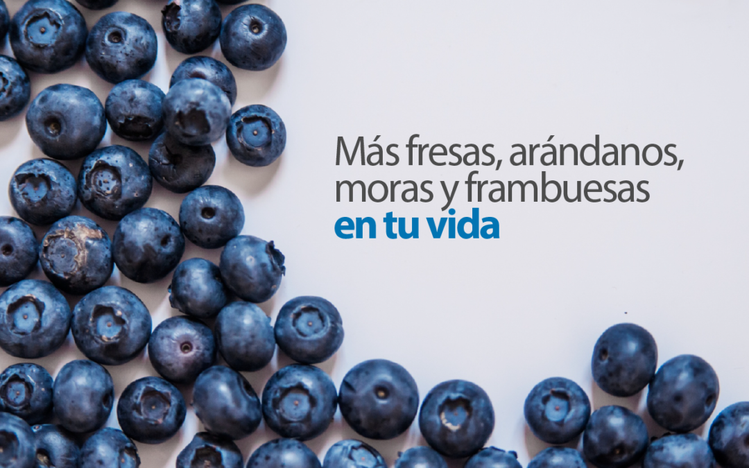 Beneficios de las berries y tres recetas cetogénicas