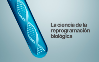 ¿Podemos rejuvenecer nuestros genes?