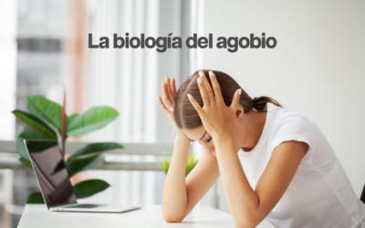 Cómo el estrés emocional se transforma en daño celular oxidativo